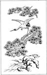 仙鹤花鸟绘画