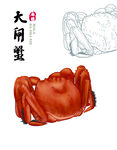 手绘大闸蟹