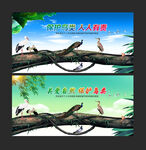 保护鸟类