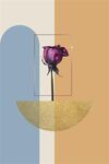 花朵装饰画
