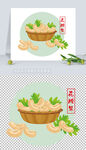 矢量坚果插画腰果