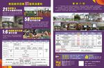 英语传单