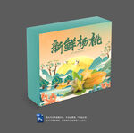 杨桃包装