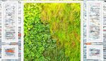 绿植青砖墙