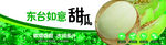 甜瓜包装