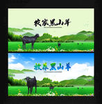 黑山羊