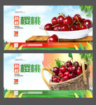 樱桃海报