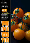 有机番茄