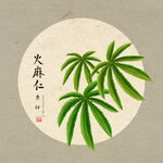 手绘火麻仁