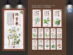 中草药展板