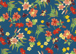 蓝底花朵