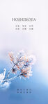 大雪 小雪 节气 暖心 治愈