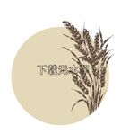 稻谷矢量手绘