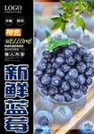 新鲜蓝莓