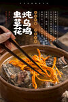 虫草花炖乌鸡海报