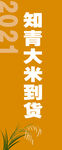 海报 大米  水稻 外宣