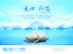 连心沁芯