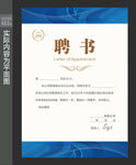 聘书模板 
