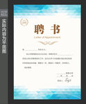 聘书设计 