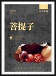 菩提子