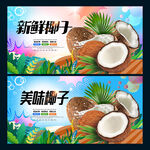 新鲜椰子