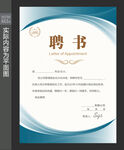 聘书样版