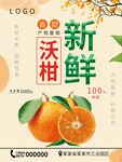 沃柑海报