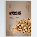 板蓝根