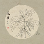 手绘黑豆