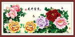 国画牡丹 