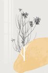 黑白植物装饰画