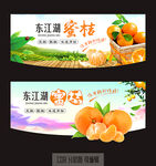 蜜橙广告画面