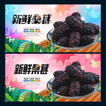 桑葚