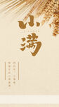 小满24节气节日海报丰收小麦