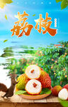 荔枝海报