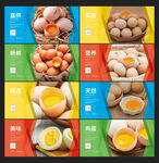 鸡蛋