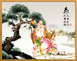 老寿星 