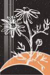小白花装饰画
