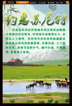 苏尼特