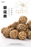 草寇果海报