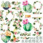 水彩植物花卉