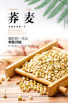 荞麦海报 