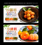 沙糖桔子  