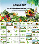蔬菜种植基地有机蔬菜PPT