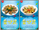 青口贝