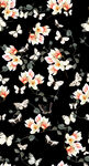 大牌花