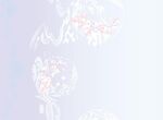 数码印花