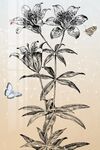 百合花装饰画