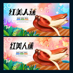 红美人蕉