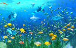 海底生物唯美背景墙